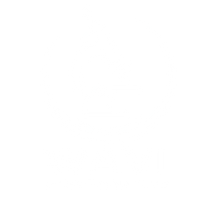 Wavi Instruments