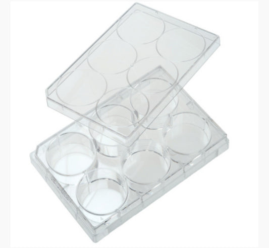 Corning Costar® 6-well Clear TC-treated Multiple Well Plates