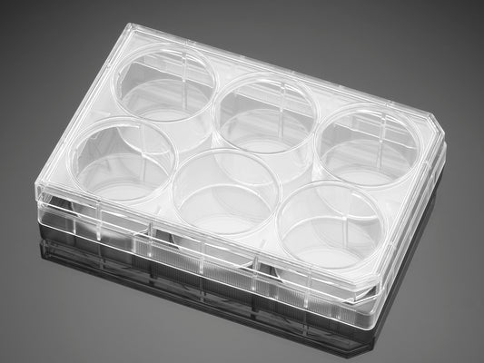 Falcon® 6-well Clear Flat Bottom Not TC Treated Cell Multiwell Culture Plates, with Lid, Sterile, 50 Plates #351146