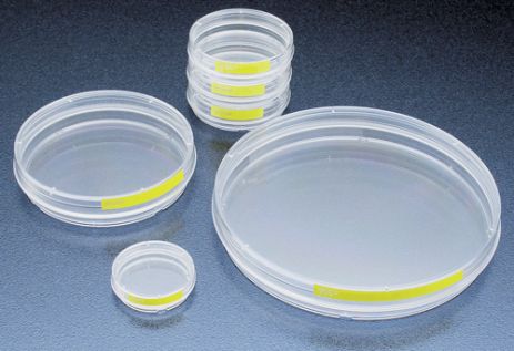 TPP Tissue Culture Dishes 60x15mm 4 Sealed Packs of 14 (56 plates total) #93060